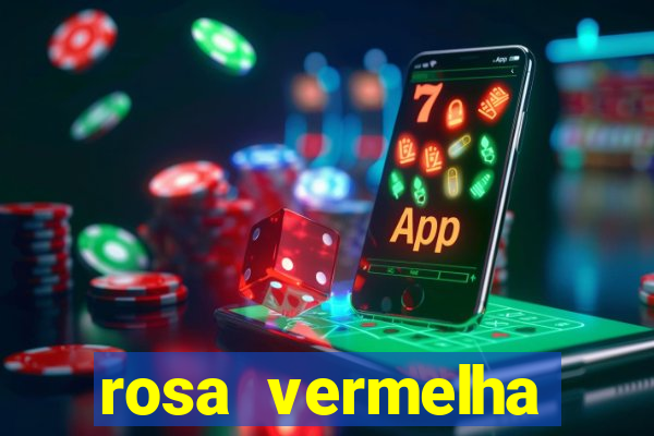 rosa vermelha (letra e cifra)